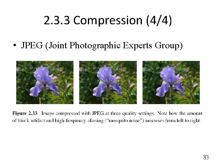 2. 3. 3 Compression (4/4) • JPEG (Joint Photographic Experts Group) 83 