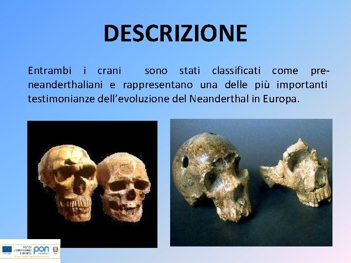 DESCRIZIONE Entrambi i crani sono stati classificati come preneanderthaliani e rappresentano una delle più