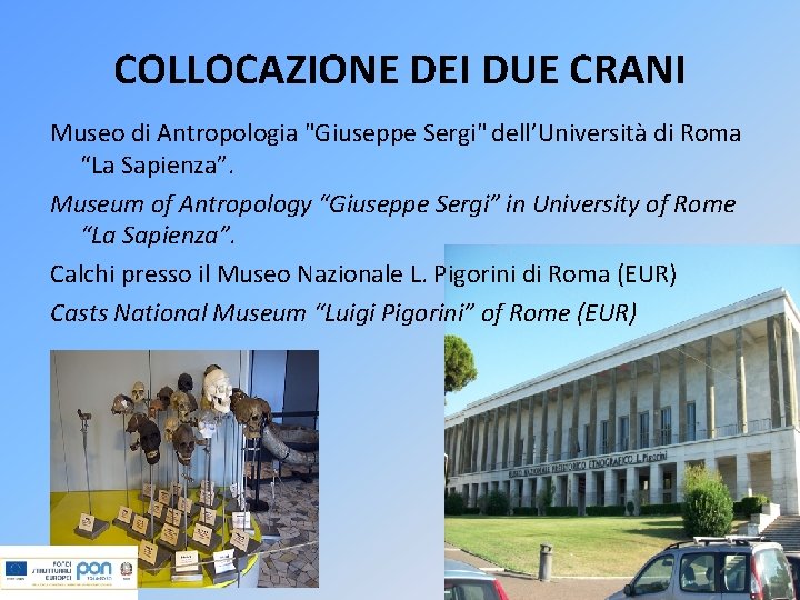 COLLOCAZIONE DEI DUE CRANI Museo di Antropologia "Giuseppe Sergi" dell’Università di Roma “La Sapienza”.