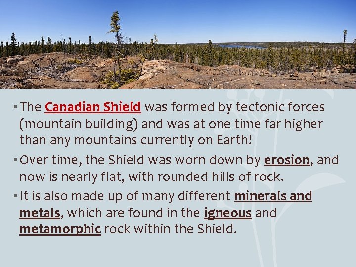  • The Canadian Shield was formed by tectonic forces (mountain building) and was