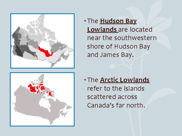  • The Hudson Bay Lowlands are located near the southwestern shore of Hudson