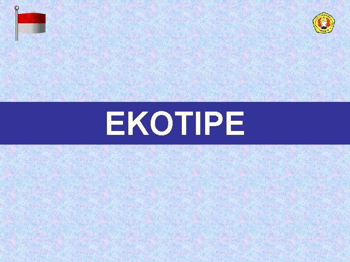 EKOTIPE 