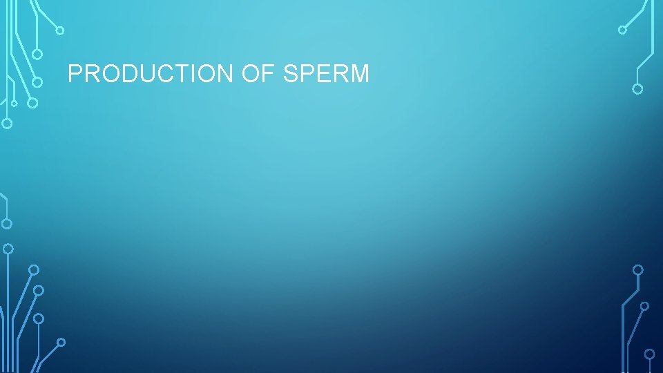 PRODUCTION OF SPERM 