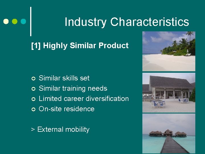 Industry Characteristics [1] Highly Similar Product ¢ ¢ Similar skills set Similar training needs