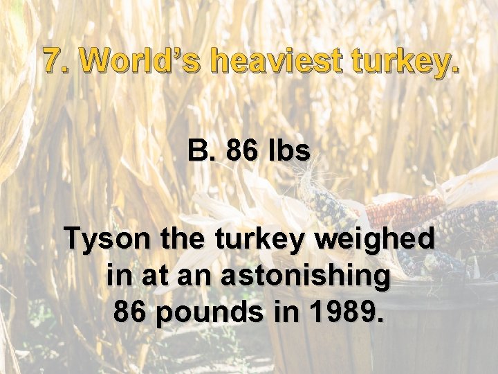 7. . World’s heaviest turkey. 7 B. 86 lbs Tyson the turkey weighed in