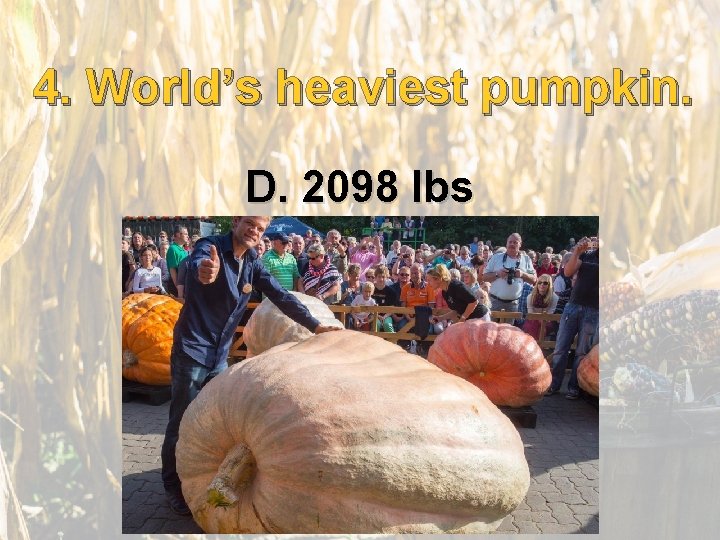 4. . World’s heaviest pumpkin. 4 D. 2098 lbs 