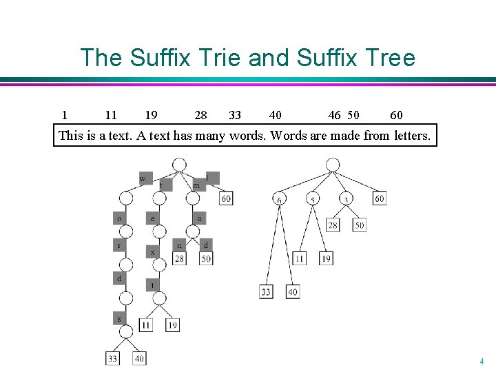The Suffix Trie and Suffix Tree 1 11 19 28 33 40 46 50 The Suffix Trie and Suffix Tree 1 11 19 28 33 40 46 50