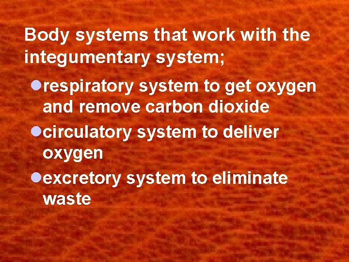 Body systems that work with the integumentary system; lrespiratory system to get oxygen and