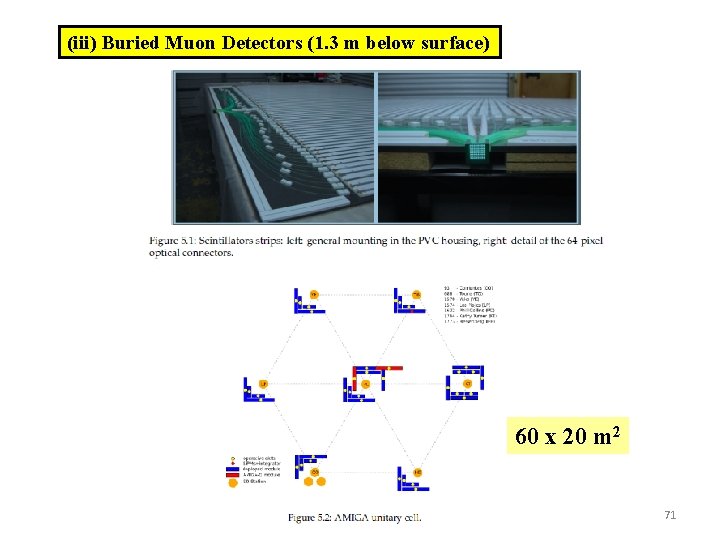 (iii) Buried Muon Detectors (1. 3 m below surface) 60 x 20 m 2