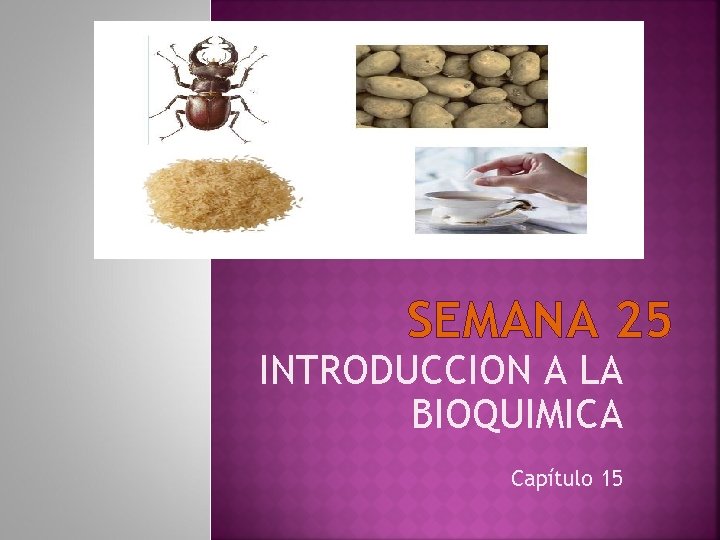 SEMANA 25 INTRODUCCION A LA BIOQUIMICA Capítulo 15 