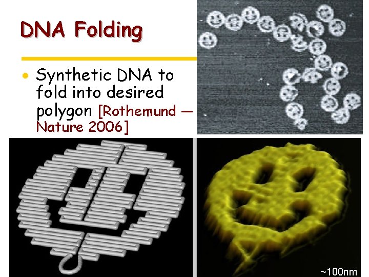 DNA Folding · Synthetic DNA to fold into desired polygon [Rothemund — Nature 2006]