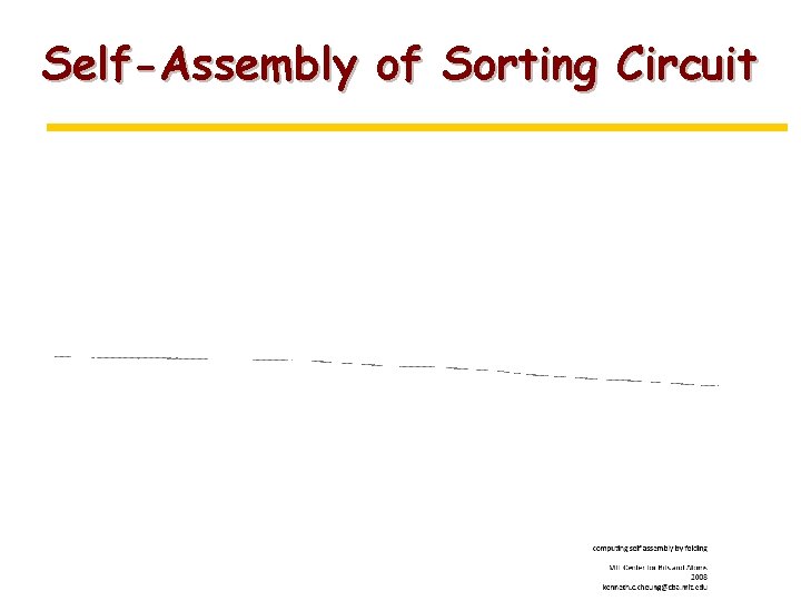 Self-Assembly of Sorting Circuit 