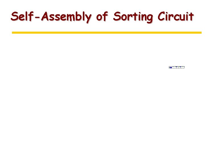Self-Assembly of Sorting Circuit 