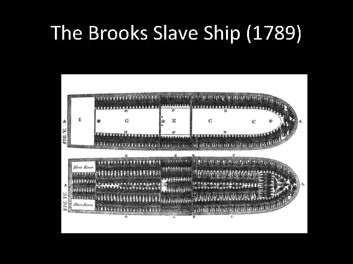 The Brooks Slave Ship (1789) 