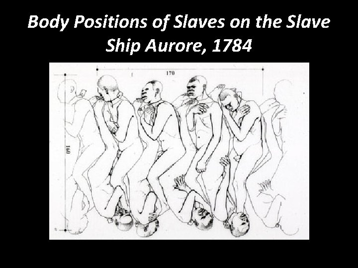 Body Positions of Slaves on the Slave Ship Aurore, 1784 