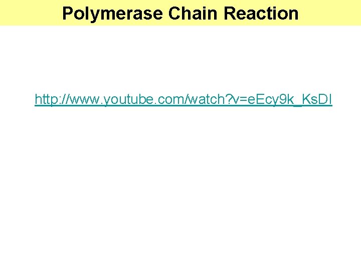 Polymerase Chain Reaction http: //www. youtube. com/watch? v=e. Ecy 9 k_Ks. DI 
