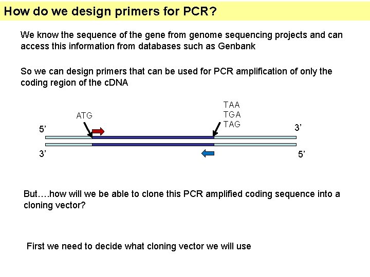How do we design primers for PCR? We know the sequence of the gene