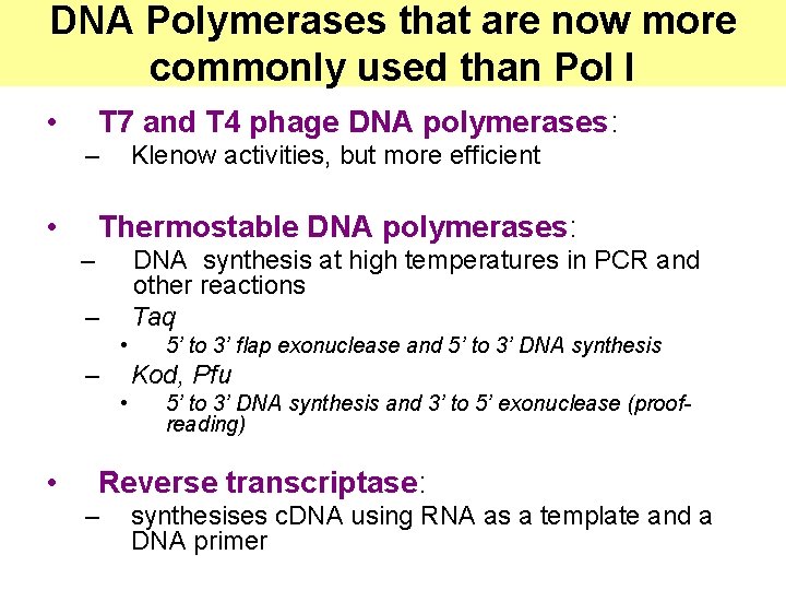 DNA Polymerases that are now more commonly used than Pol I • T 7