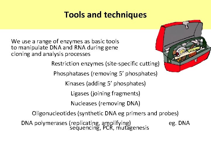 Tools and techniques We use a range of enzymes as basic tools to manipulate