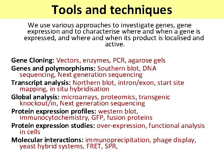 Tools and techniques We use various approaches to investigate genes, gene expression and to