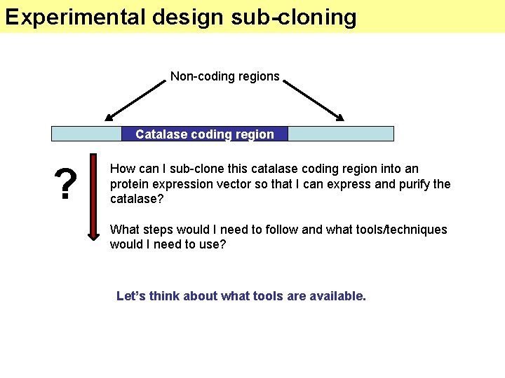 Experimental design sub-cloning Non-coding regions Catalase coding region ? How can I sub-clone this