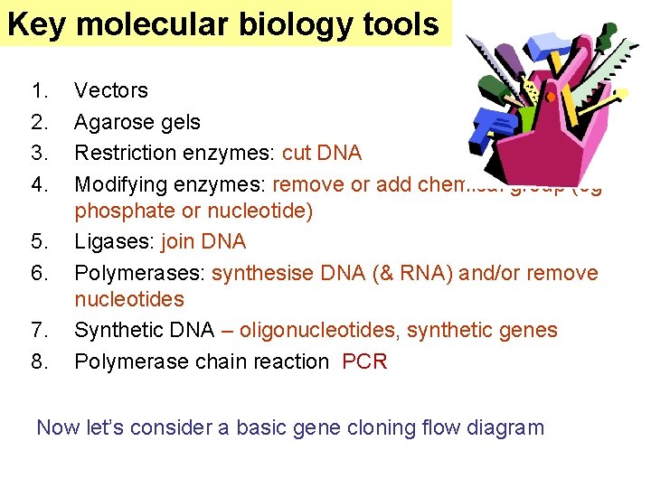 Key molecular biology tools 1. 2. 3. 4. 5. 6. 7. 8. Vectors Agarose