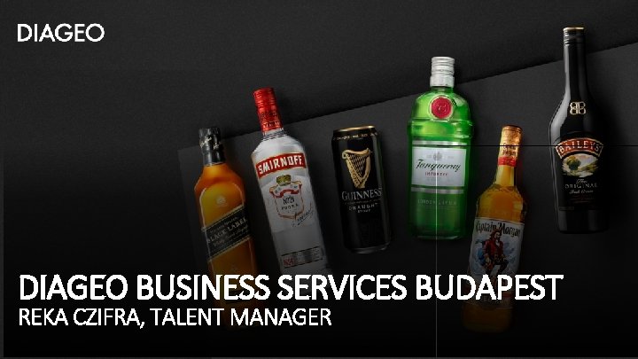 DIAGEO BUSINESS SERVICES BUDAPEST REKA CZIFRA, TALENT MANAGER 