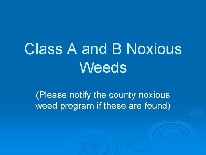 Class A and B Noxious Weeds (Please notify the county noxious weed program if