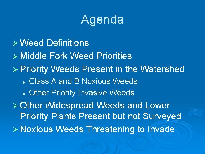 Agenda Ø Weed Definitions Ø Middle Fork Weed Priorities Ø Priority Weeds Present in