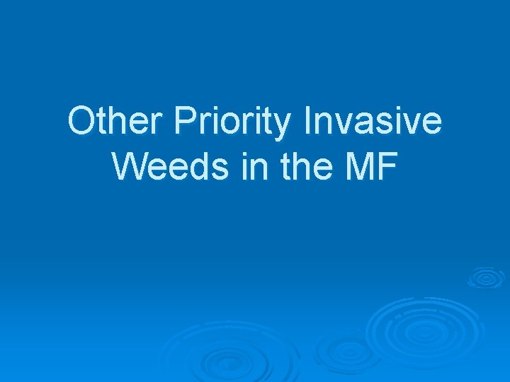 Other Priority Invasive Weeds in the MF 