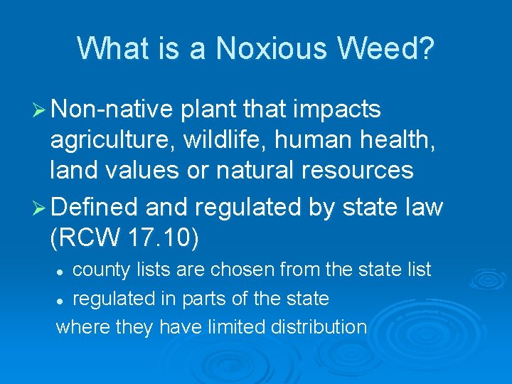What is a Noxious Weed? Ø Non-native plant that impacts agriculture, wildlife, human health,