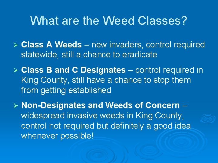 What are the Weed Classes? Ø Class A Weeds – new invaders, control required