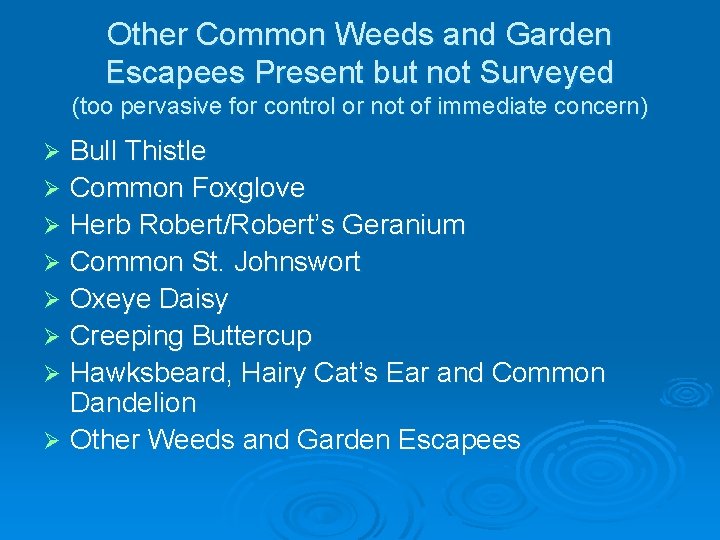 Other Common Weeds and Garden Escapees Present but not Surveyed (too pervasive for control