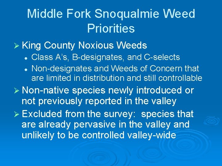 Middle Fork Snoqualmie Weed Priorities Ø King County Noxious Weeds l l Class A’s,