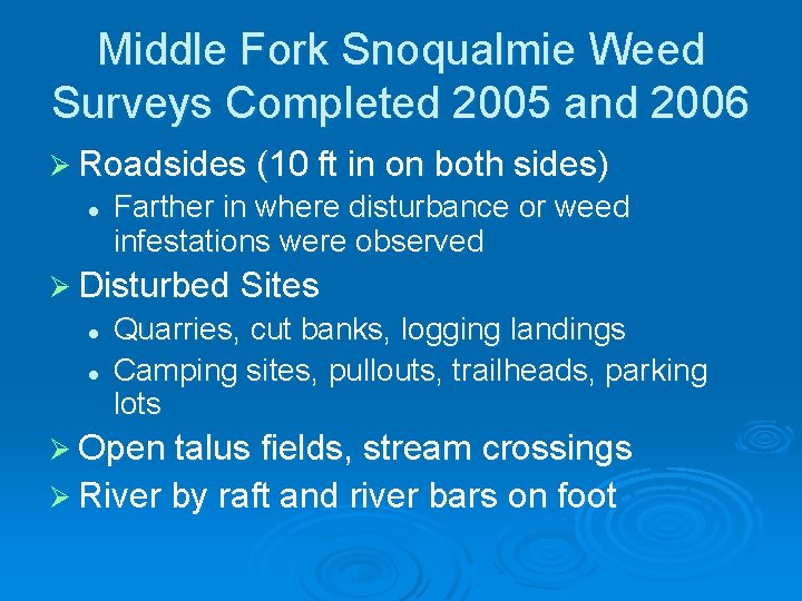 Middle Fork Snoqualmie Weed Surveys Completed 2005 and 2006 Ø Roadsides (10 ft in