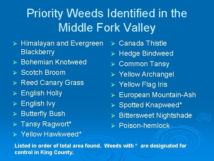Priority Weeds Identified in the Middle Fork Valley Ø Ø Ø Ø Ø Himalayan