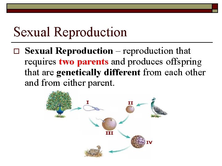 Sexual Reproduction o Sexual Reproduction – reproduction that requires two parents and produces offspring Sexual Reproduction o Sexual Reproduction – reproduction that requires two parents and produces offspring