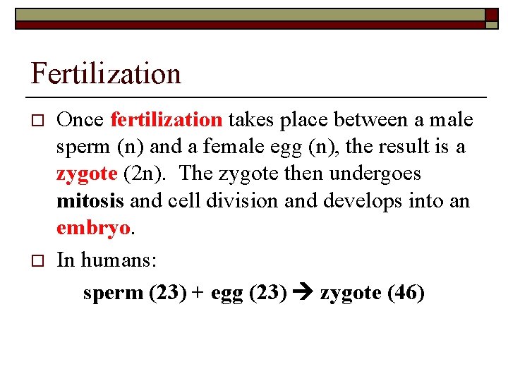 Fertilization o o Once fertilization takes place between a male sperm (n) and a Fertilization o o Once fertilization takes place between a male sperm (n) and a