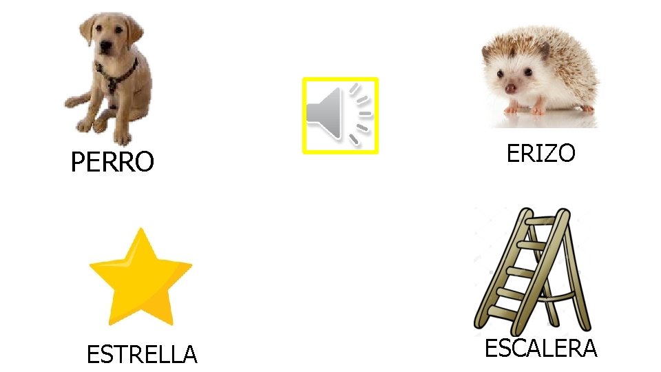 PERRO ESTRELLA ERIZO ESCALERA 