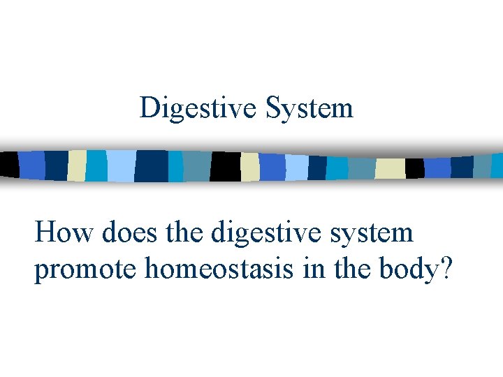 Digestive System How does the digestive system promote homeostasis in the body? Digestive System How does the digestive system promote homeostasis in the body?