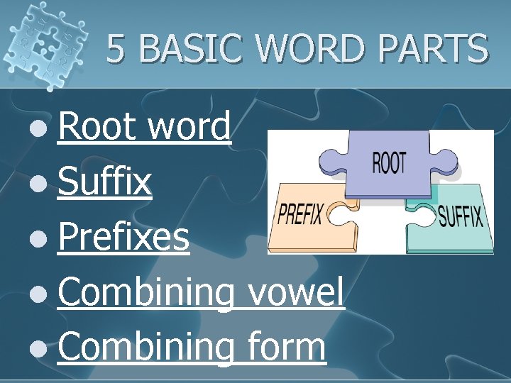 5 BASIC WORD PARTS l Root word l Suffix l Prefixes l Combining vowel