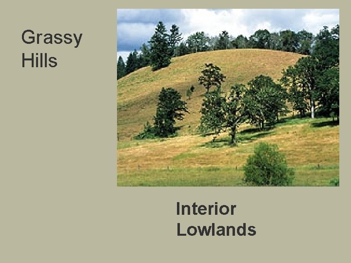 Grassy Hills Interior Lowlands 