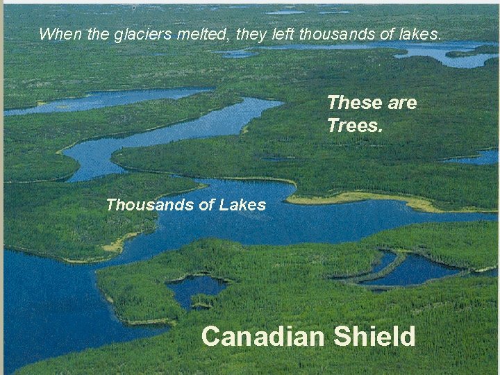 When the glaciers melted, they left thousands of lakes. These are Trees. Thousands of