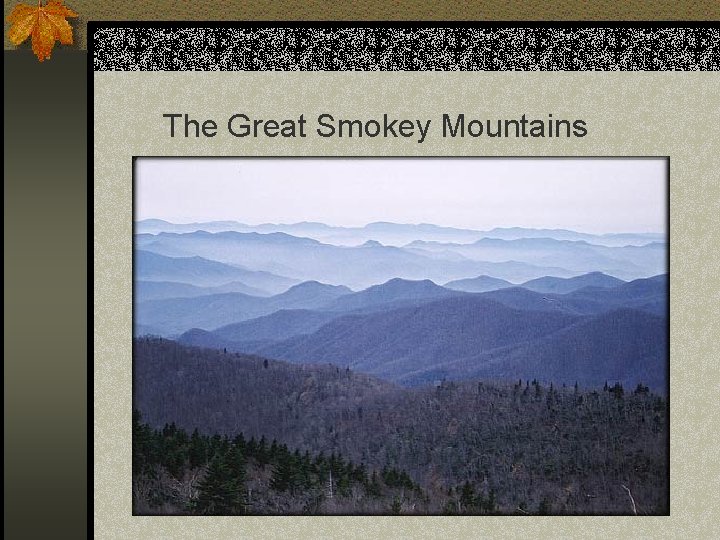 The Great Smokey Mountains 