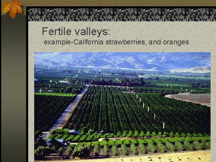 Fertile valleys: example-California strawberries, and oranges 