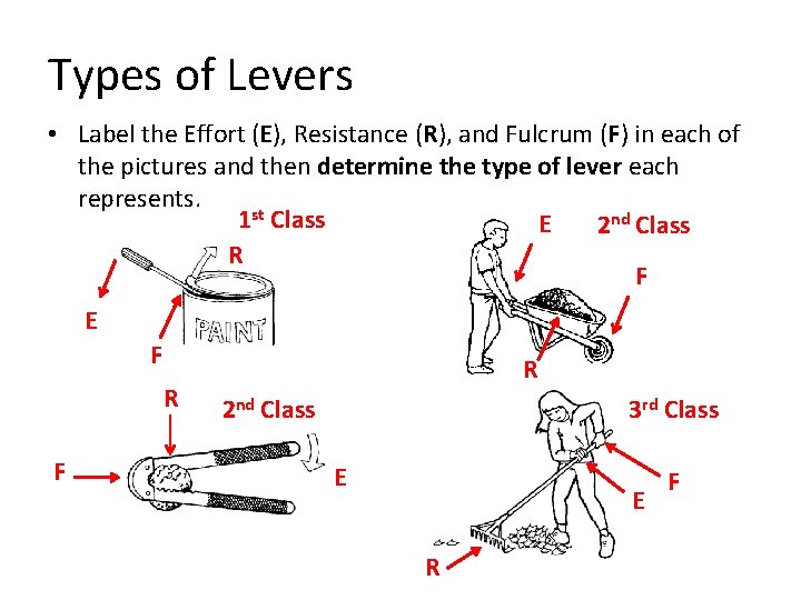 Types of Levers • Label the Effort (E), Resistance (R), and Fulcrum (F) in