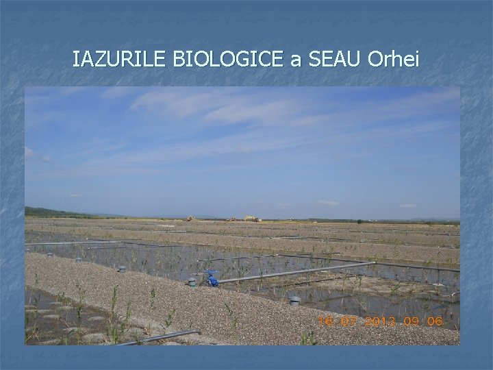 IAZURILE BIOLOGICE a SEAU Orhei 