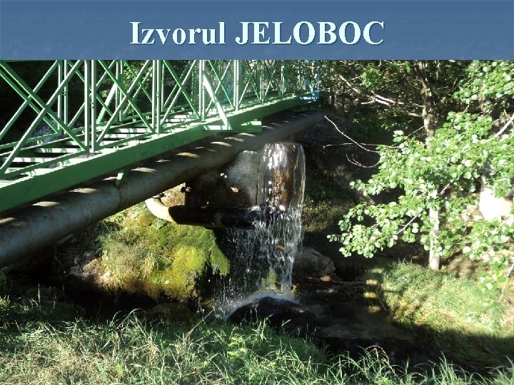 Izvorul JELOBOC 