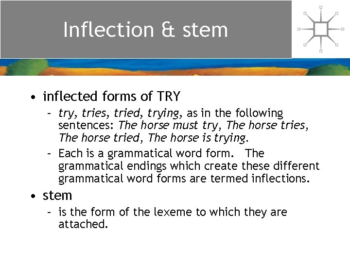 Inflection & stem • inflected forms of TRY – try, tries, tried, trying, as