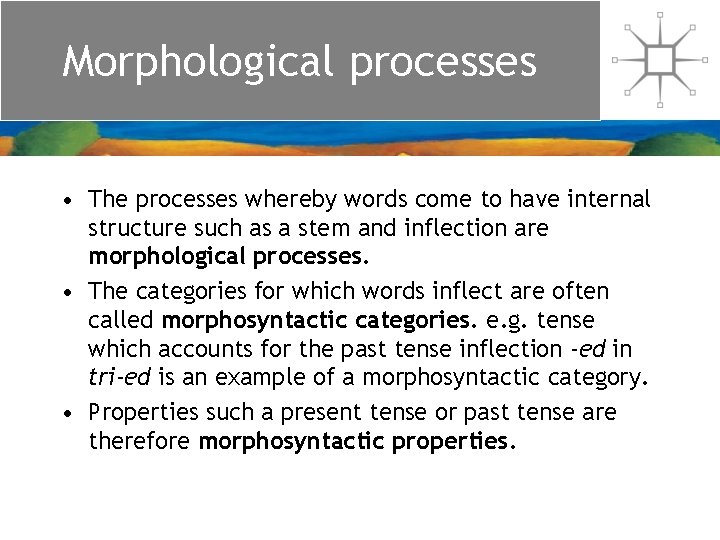 Morphological processes • The processes whereby words come to have internal structure such as